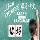 Learn Chinese Fast - Beginner APK