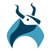 Bullspree - Learn Stock Market icône
