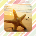 Starfish Wallpaper HD