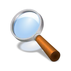 Magnifier + Flashlight XAPK 下載