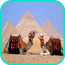 Camel Fond d'écran APK