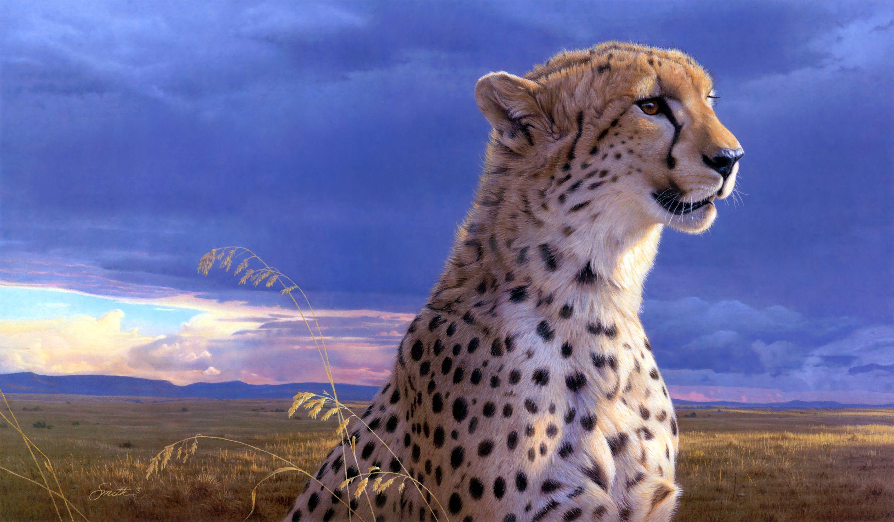 Cheetah Wallpaper For Android Apk Download Cheetah Wallpaper For Android Apk Download