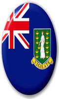 British Virgin Islands Flag imagem de tela 3