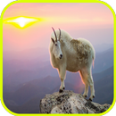 geit Wallpaper-APK