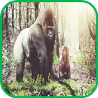 Gorilla Wallpaper icon