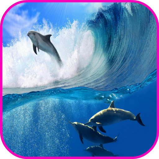 Dolphin Wallpaper APK for Android – Download Dolphin Wallpaper APK Latest Version from Dolphin Wallpaper APK for Android – Download Dolphin Wallpaper APK Latest Version from