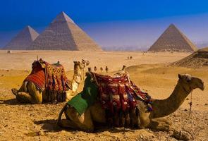 Ai Cập Wallpaper ảnh chụp màn hình 3