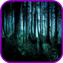 Forest Wallpaper APK