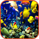 Fond d'écran poissons APK