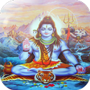 Seigneur Shiva Fond d'écran APK