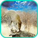 Leopard Wallpaper aplikacja