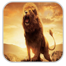 Lion d'écran HD APK