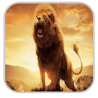 ikon Lion Wallpapers HD