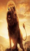 Lion Wallpapers HD 포스터