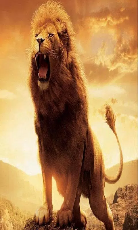 Narnia Aslan Wallpapers - Wallpaper Cave