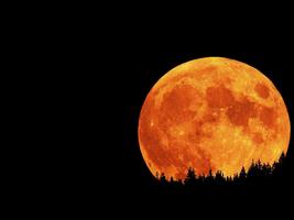 Moon Wallpaper screenshot 3