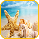 Shell Wallpaper APK