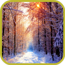 Spring Wallpaper-APK