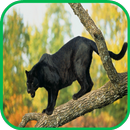 Panther Wallpaper-APK
