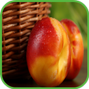 Perzik Wallpaper-APK