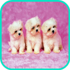 Puppy Dog Wallpaper icon