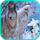 Loup Wallpaper APK