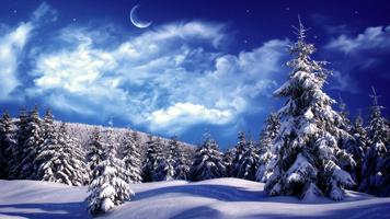 Winter Wallpaper HD ภาพหน้าจอ 2