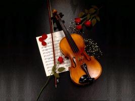 Violin Wallpaper Screenshot 1