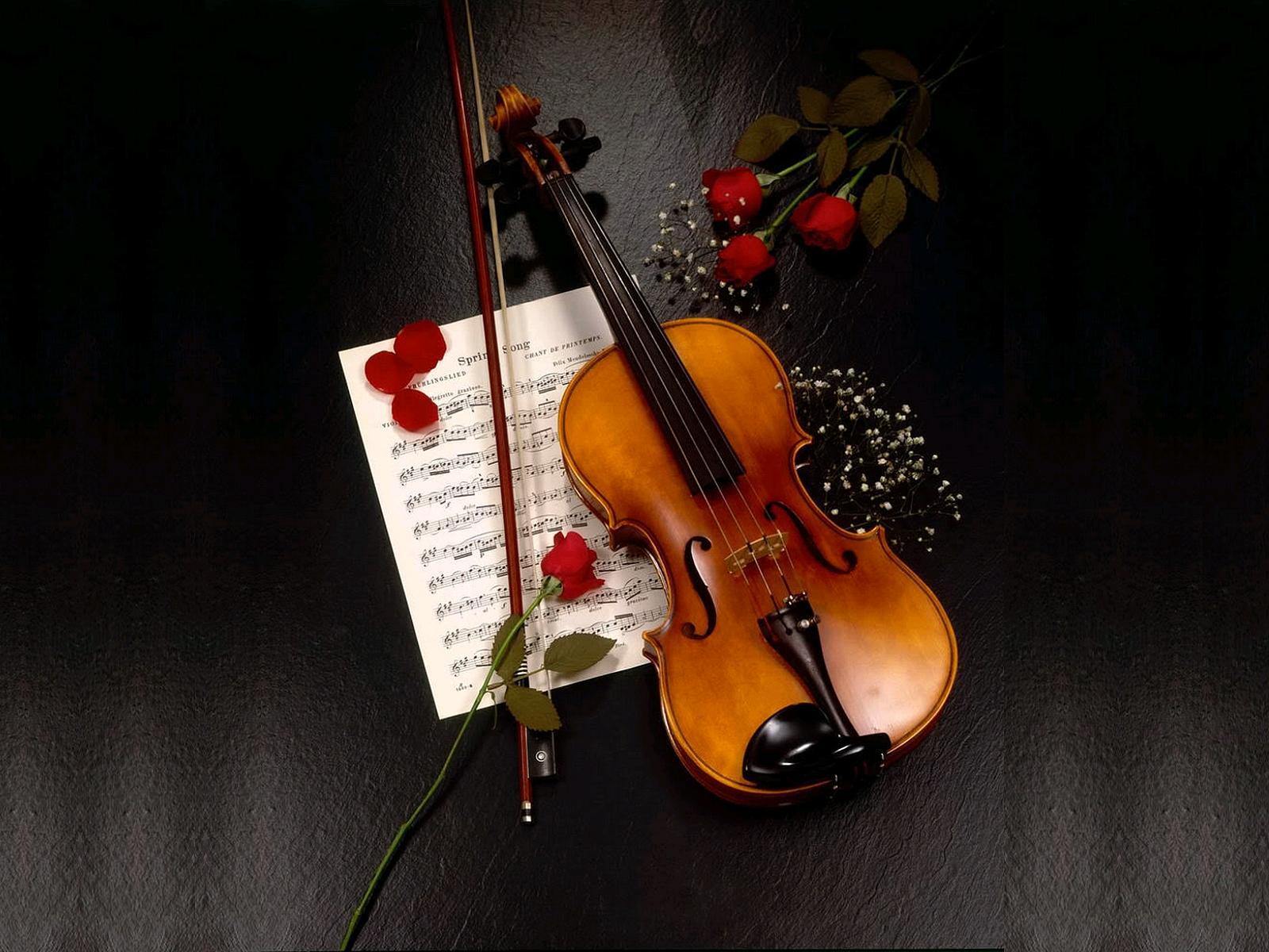 Android 用の バイオリンの壁紙 Apk をダウンロード