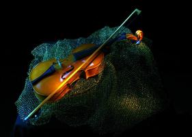 2 Schermata Violino Wallpaper
