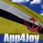 Brunei Flag आइकन