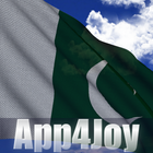 Pakistan Flag-icoon