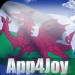 Welsh Flag