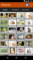 Gatos Fondos y fotos graciosas APK Herunterladen