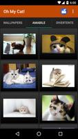 1 Schermata Sfondi gatto e foto buffe