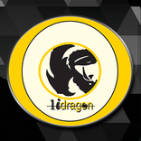 Team Chip Taekwondo Centers