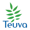 Teuva icon