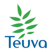 Teuva