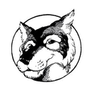 Towers Elementary-APK