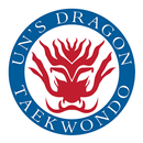 UNSDRAGON APK