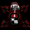 ”X-Fit Boxing