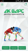 Дворец единоборств "Ак Барс"-poster