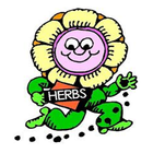 All About Herbs biểu tượng