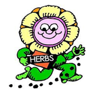 All About Herbs icon