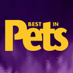 Best In Pets