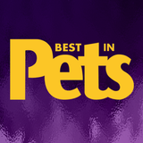 Best In Pets ícone