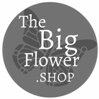 Big Flower icône
