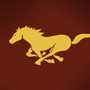 City of Mustang APK