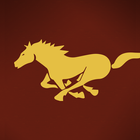 City of Mustang icône