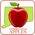 CT Apples 图标